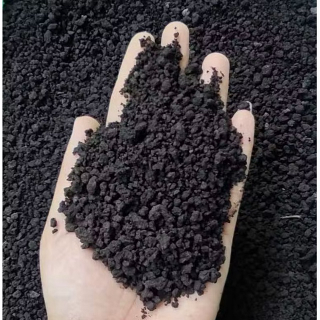 Pasir Malang Sedang Hitam 1 Kg Media Tanam Kaktus Sukulen Bonsai Aquascape Dekorasi Taman