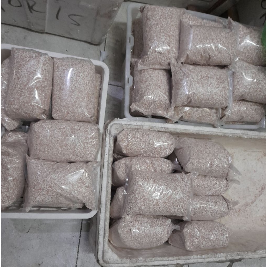 asinan grit merpati kulit telur murni