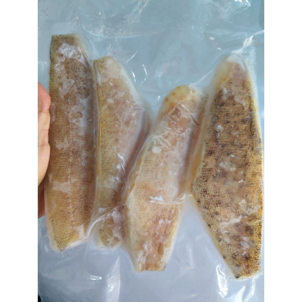 FILLET IKAN KERAPU
