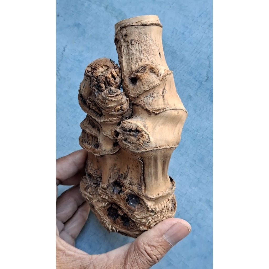 BAMBU UNIK DAMPIT TAPAK COMBONG TEMBUS ORI
