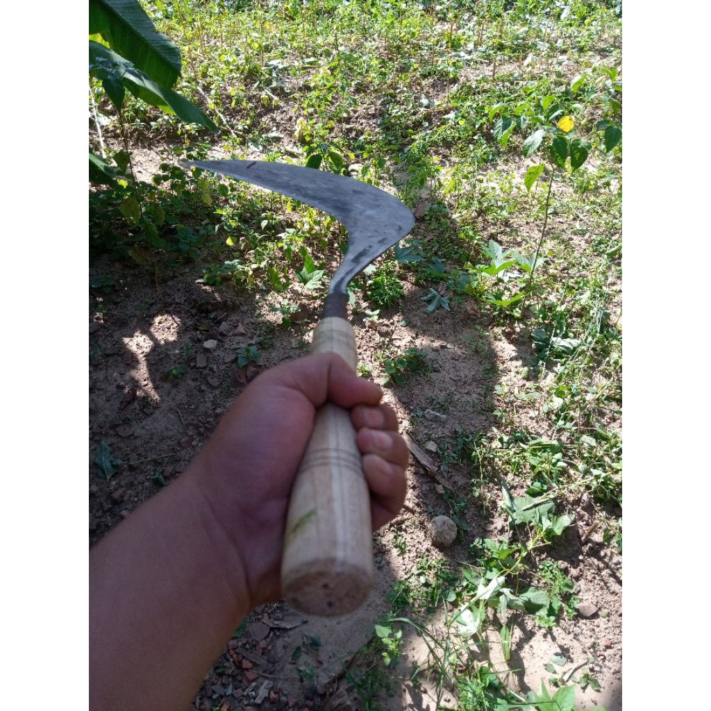 sabit / arit untuk berkebun SABIT ARIT full baja