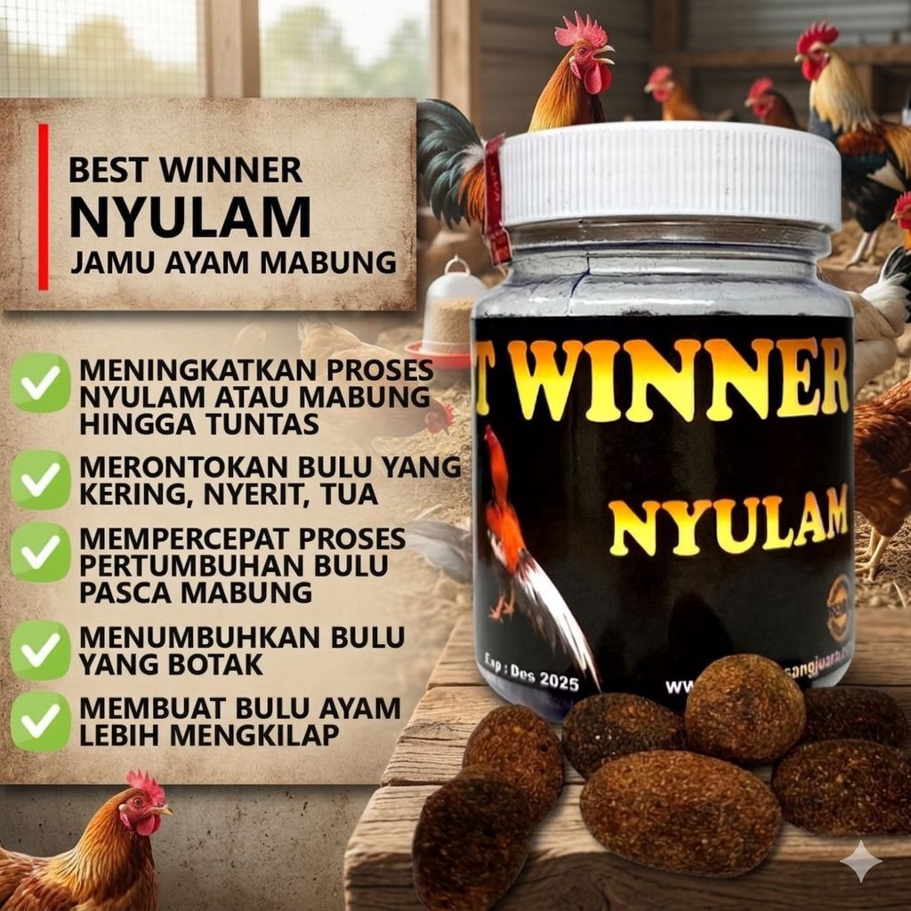 SOLUSI AYAM LAGA BEST WINNER NYULAM Suplemen Ayam Bangkok | Stamina Kuat, Nafsu Makan BagusObat Herb