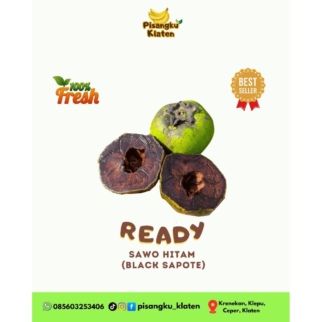 Buah Sawo Hitam/Black Sapote