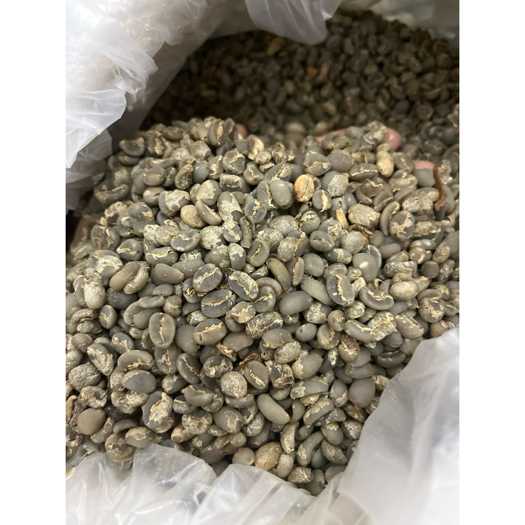 Semiwash arabika asalan 50kg