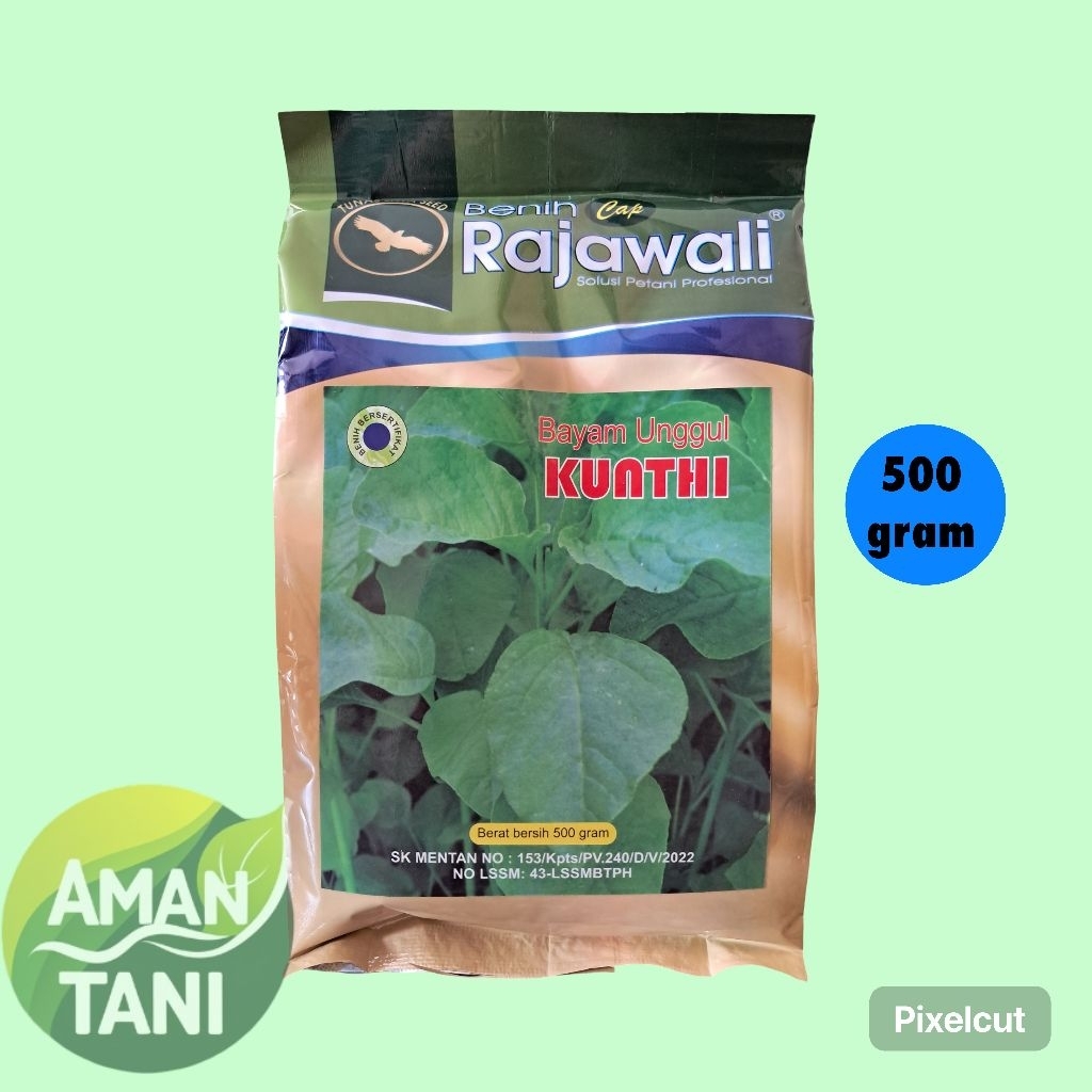 Benih bayam unggul KUNTHI kemasan 500 gram original benih rajawali benih bayam gajih bayam hijau