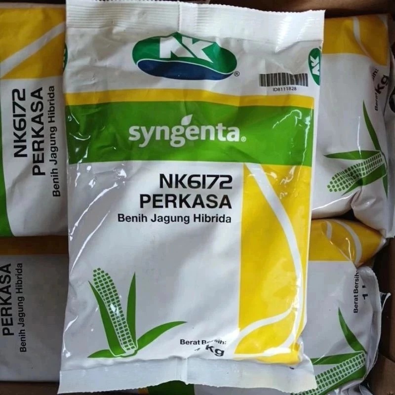 Benih Jagung NK Perkasa 6172 Kemasan (1kg) #Bibit Jagung #Benih Perkasa #Jagung Perkasa#NK Perkasa 6