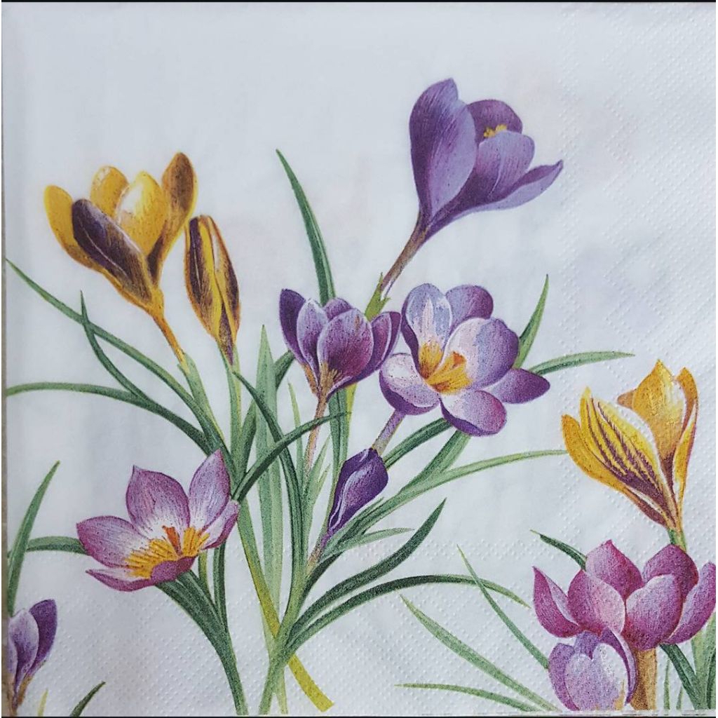 Tissue Decoupage Eropa