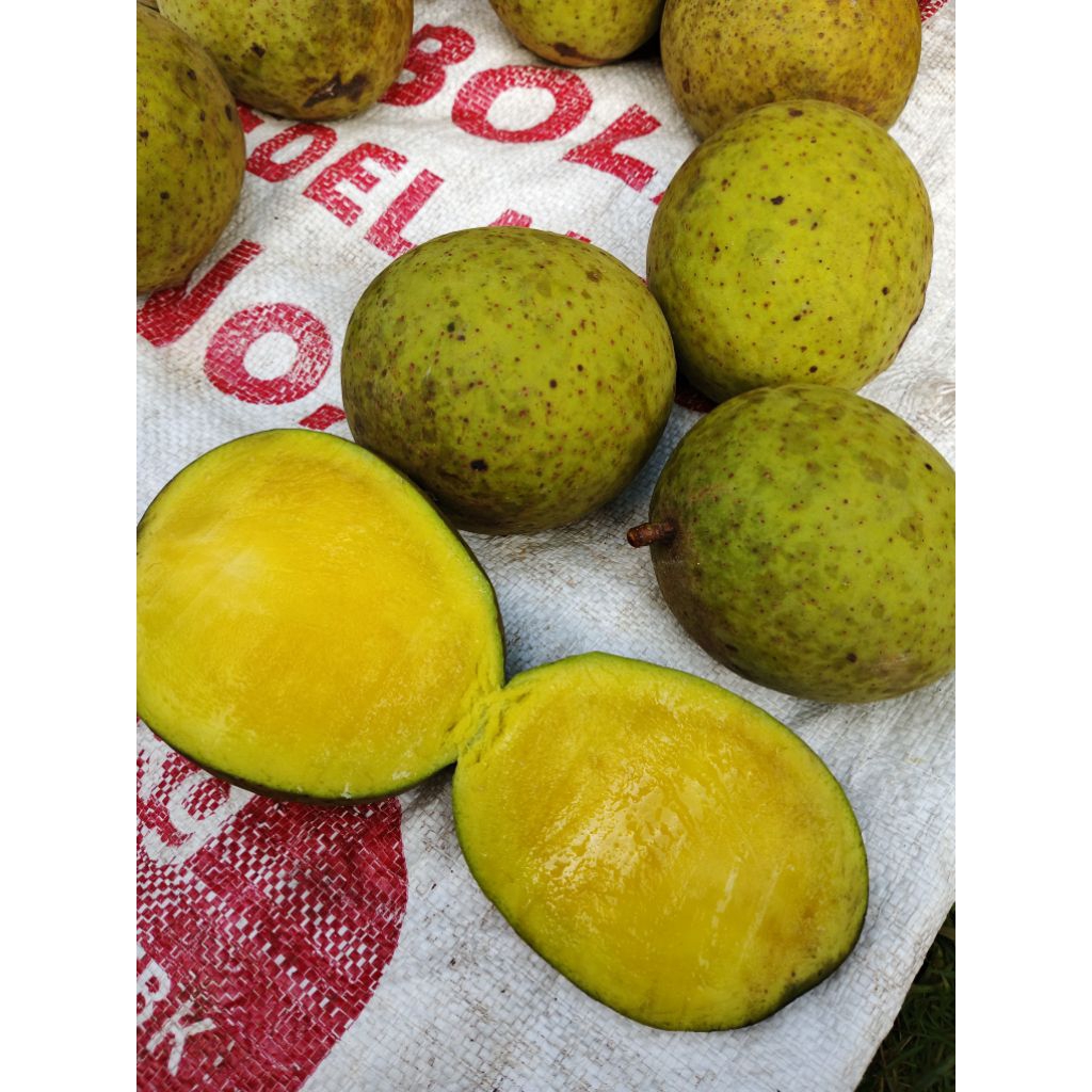 Buah mangga pakel limus segar 1kg di kirim mengkal/mangga pakel bacang