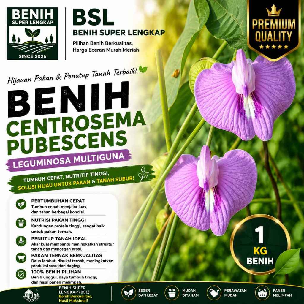 ( 1 Kg ) Benih Biji Centrosema Pubescens | Centro | Kacang Sentro | UKI BIBIT