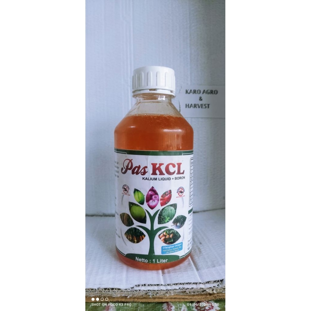 PAS KCL KALIUM LIQUID PLUS BORON 1 L - booster umbi Nutrisi Makro Mikro Cair Premium