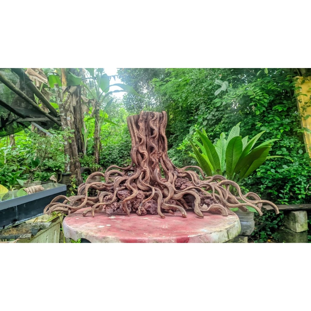 HARDSCAPE AQUASCAPE NATURAL JUMBO TENGAH