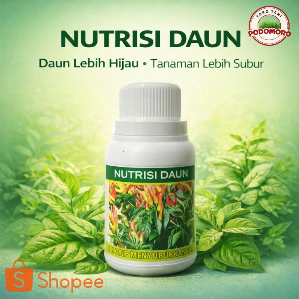 perangsang buah