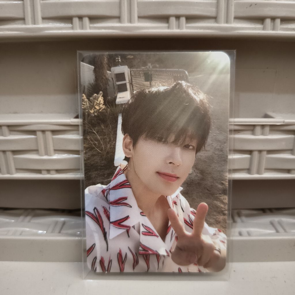 wonwoo cahil