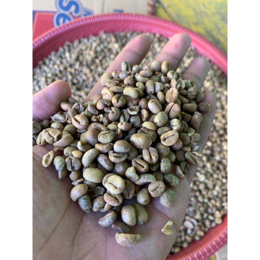 Green bean / Kopi Mentah Liberika Berau 1 KG