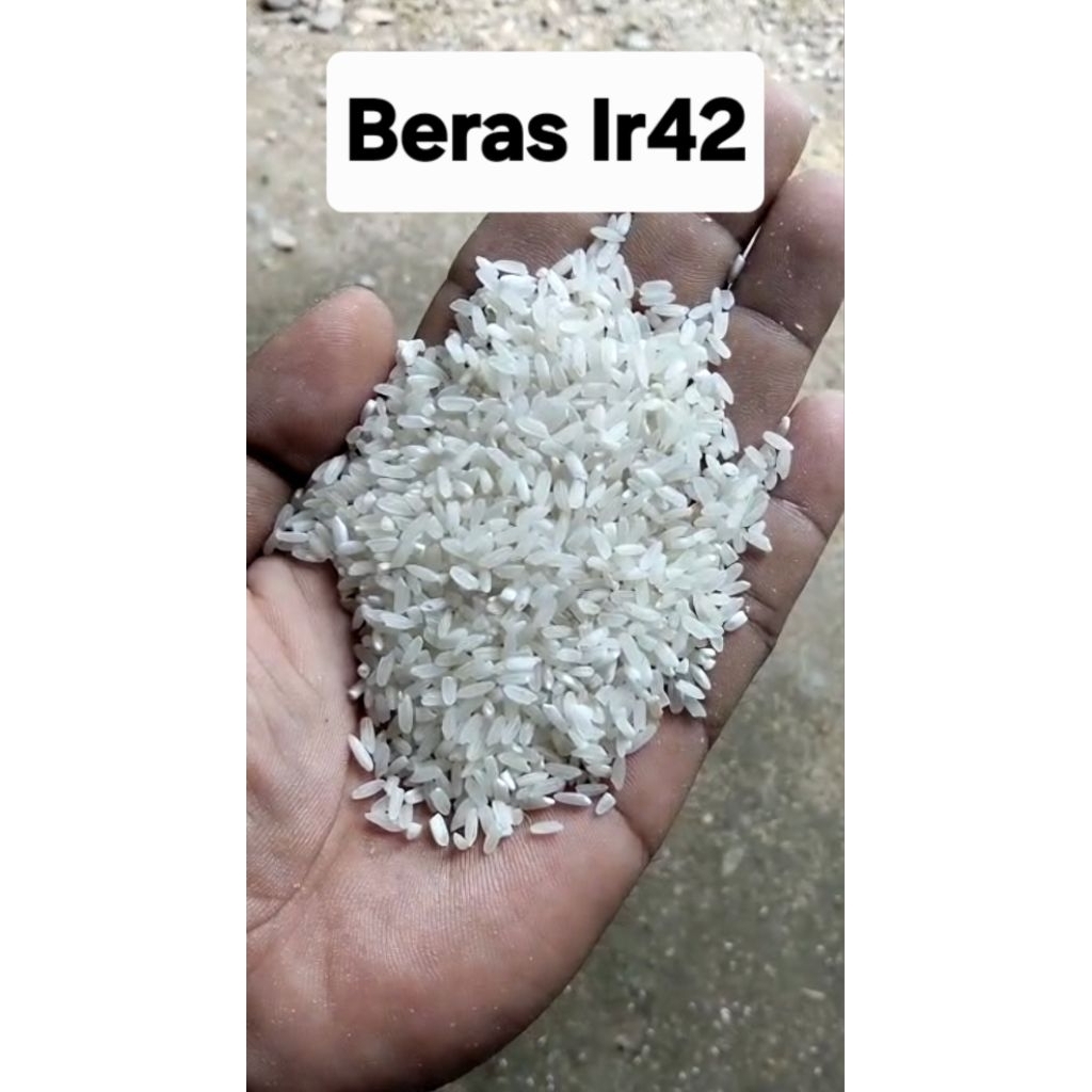 Beras ir42 Pera Sedang per 1 liter / Beras IR42  Cocok Untuk Rumah Tangga & Kuliner
