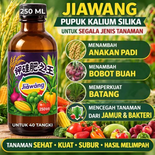 JIAWANG JIA WANG Rajanya Pupuk Kalium Silika Penambah Bobot Buah