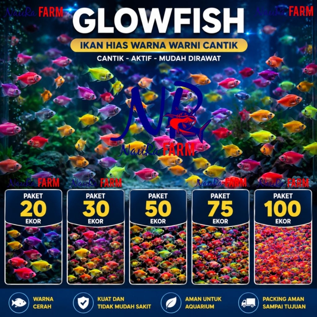 Paket 100 ekor Ikan UV Glow Fish LED Warna Warni 75 50 30 20 Glofish Aquarium Aquascape