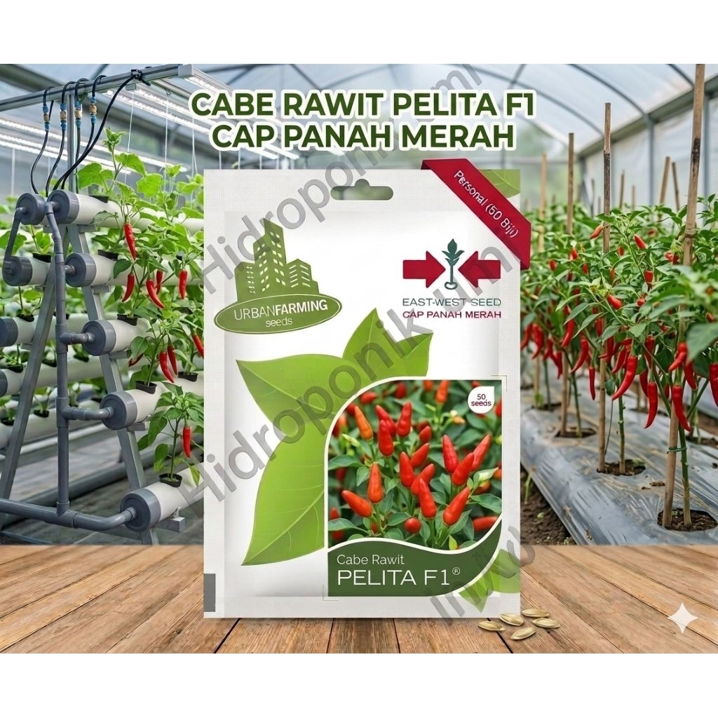 Benih Cabe rawit Pelita F1 Cap panah merah