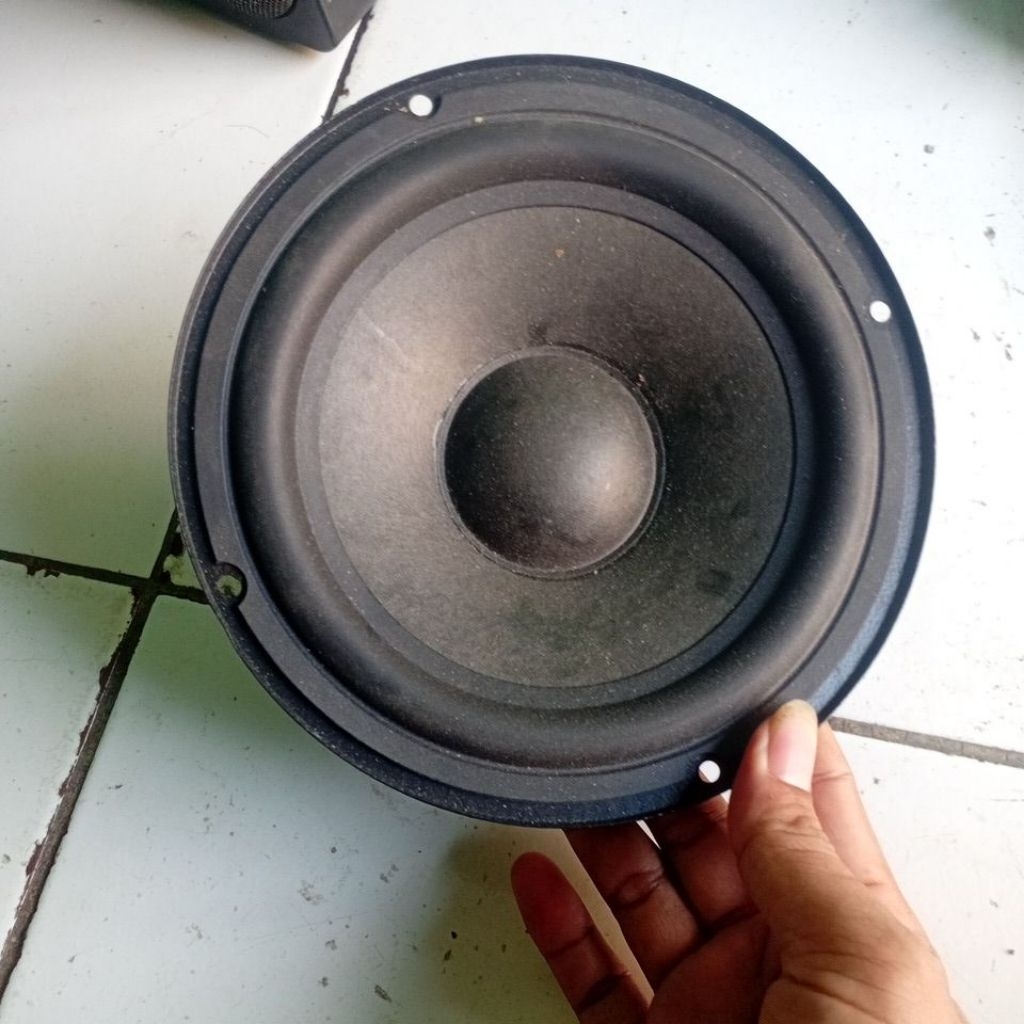 subwoofer 6 inch 20 watt