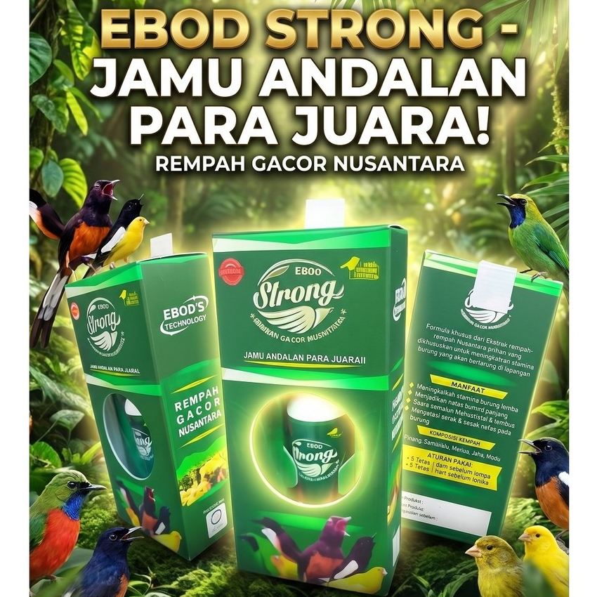 EBOD STRONG - JAMU BURUNG LOMBA