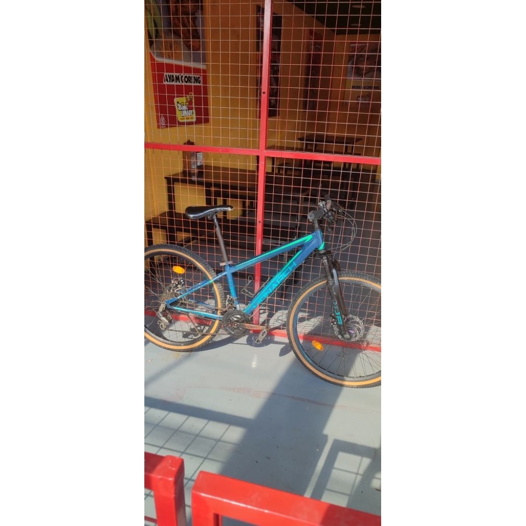 mtb polygon monarch jr ring 26