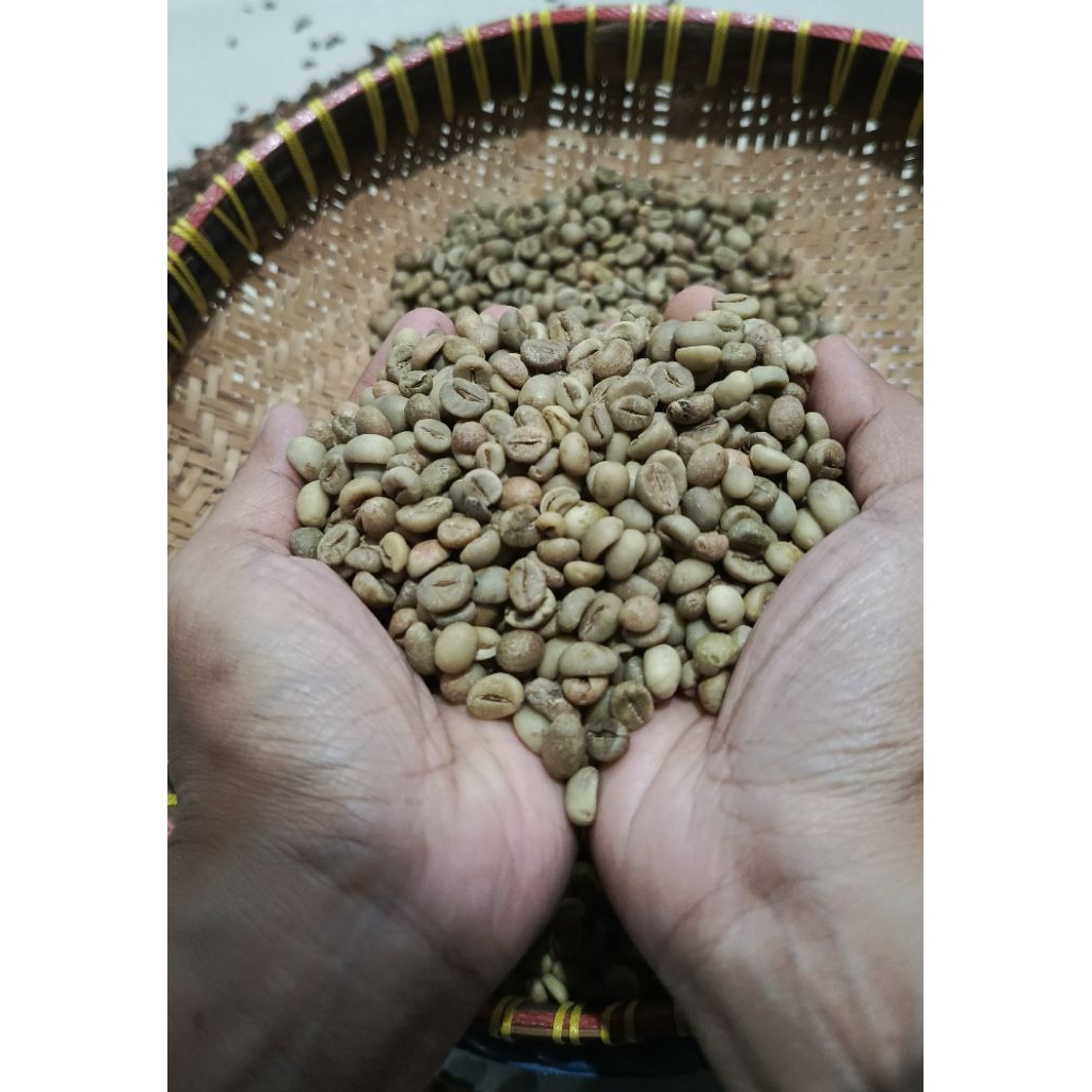 Biji Kopi Mentah Robusta Greenbean