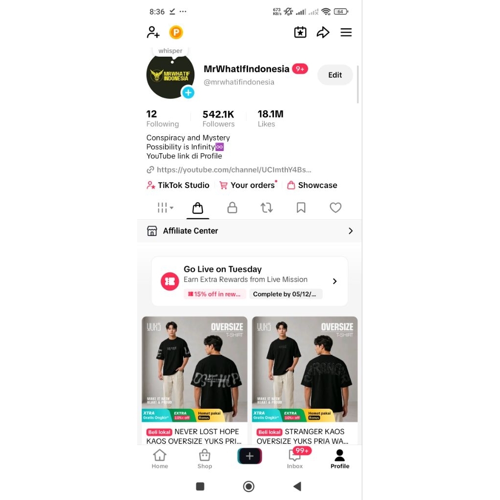 Akun Tiktok 500K Followers Pribadi