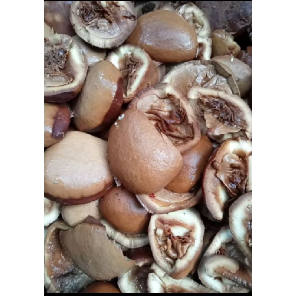 picung kelewek muda tinggal masak harga 500gram