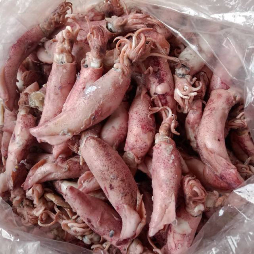 Cumi Asin - Seafood - Frozen Food
