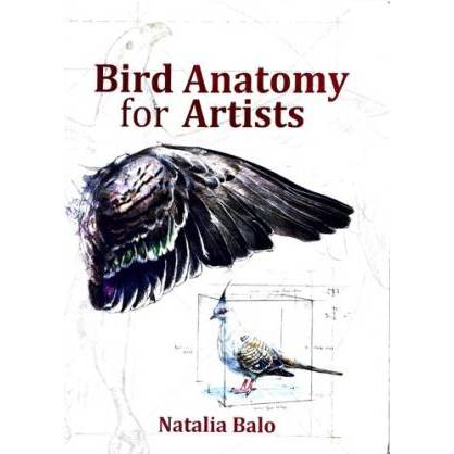 Book Bird Anatomy for Artist