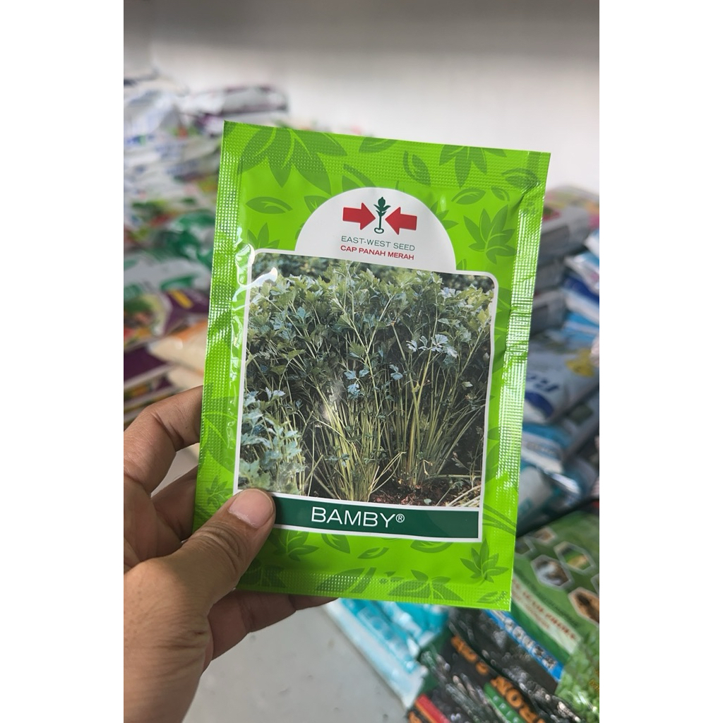 Benih Seledri Bamby 20 gr