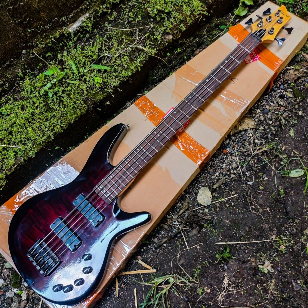 Bass Elektrik 5 String Schecter Pickup Aktif, Bass Elektrik Schecter Senar 5