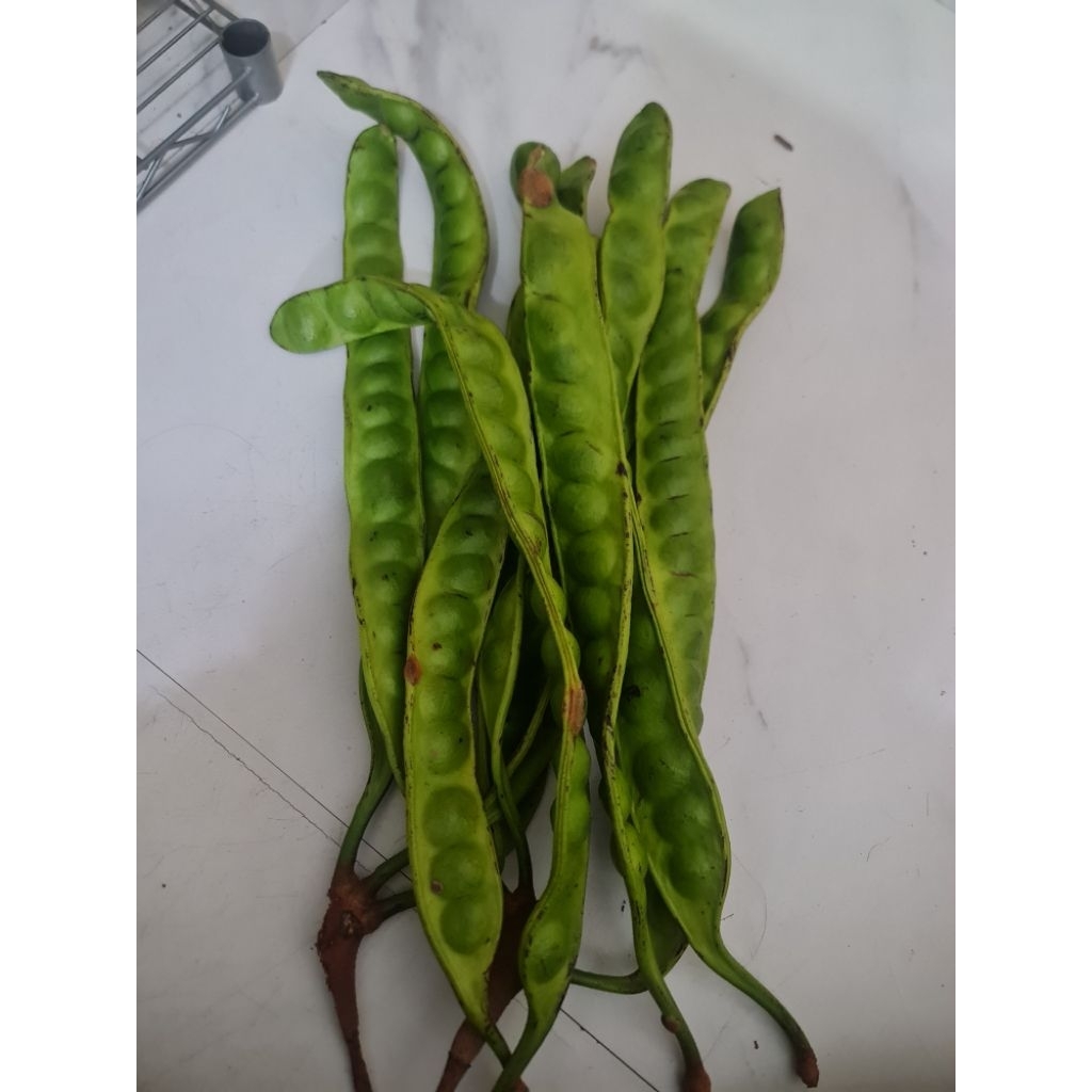 pete super besar 1 papan