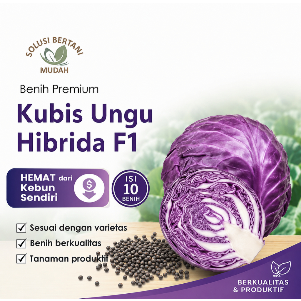 Benih Kubis Ungu Merah Hibrida F1 – Bibit Kubis Ungu Unggul Cepat Panen