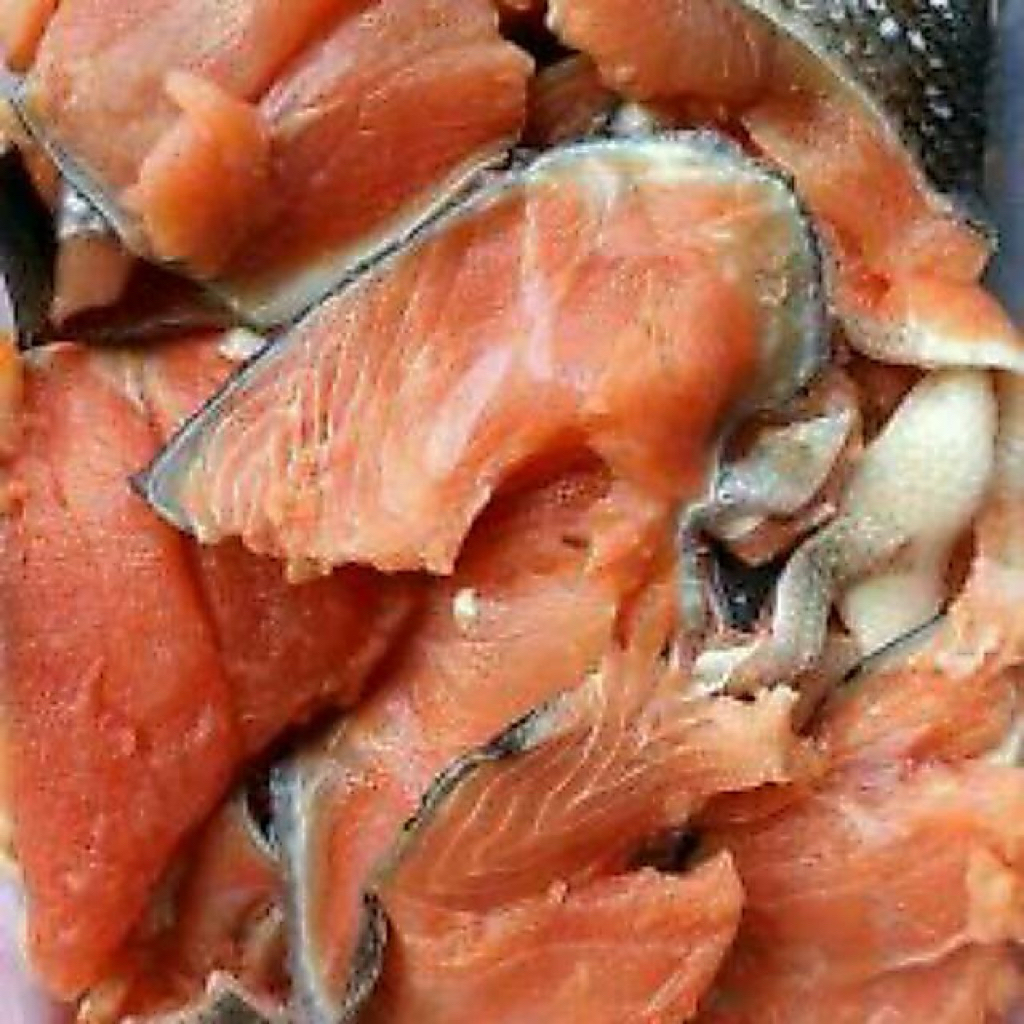 tetelan daging salmon