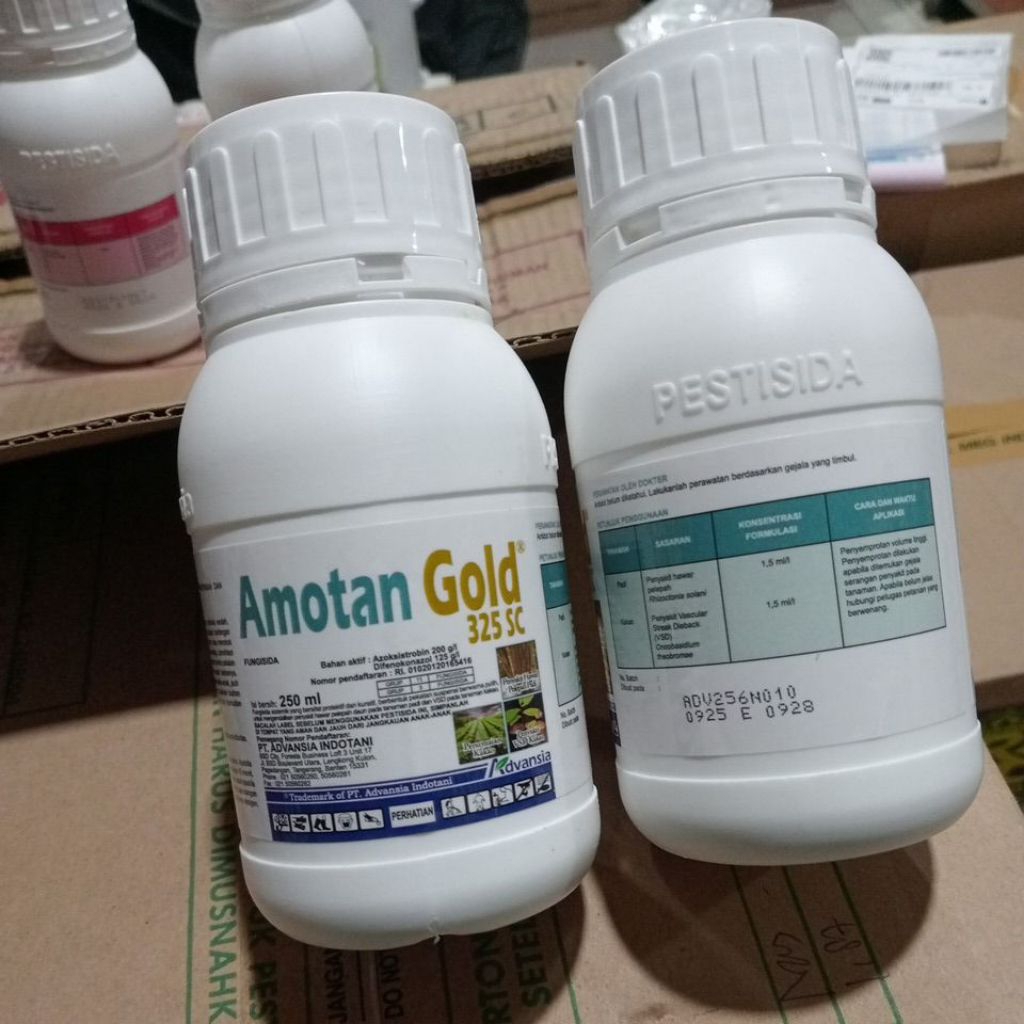 amotan gold 325 SC 250ml