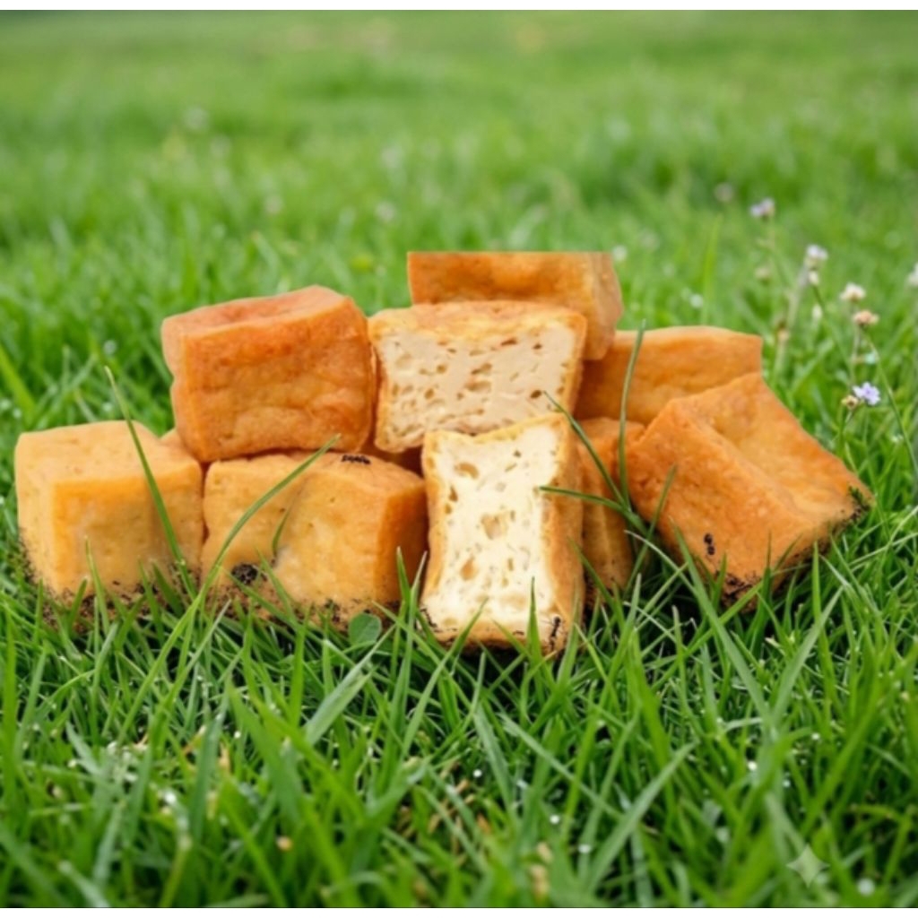 tahu pong