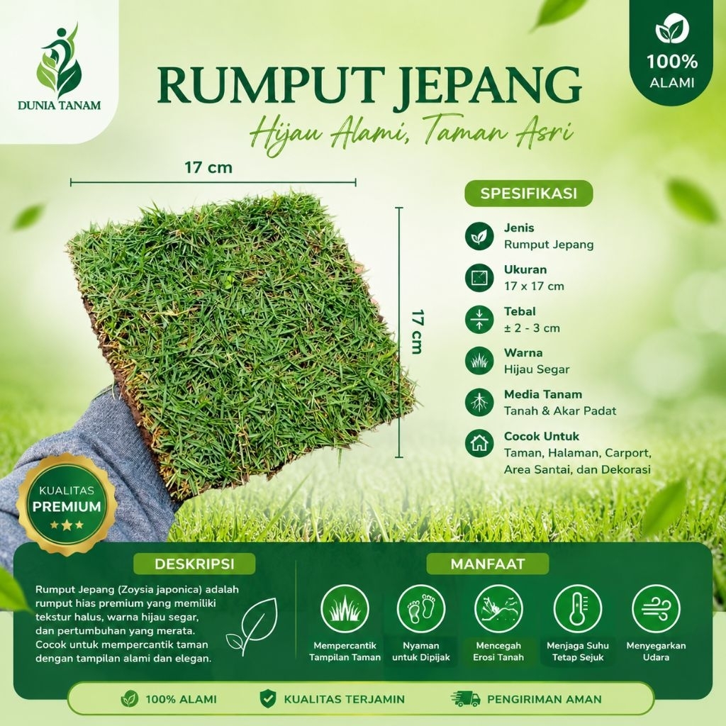 RUMPUT JEPANG HIDUP|PERKOTAK|RUMPUT KUBURAN|RUMPUT TAMAN