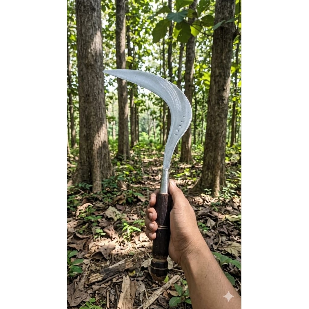 Arit Bintang Lima Baja Carbon
