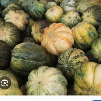 Buah Blewah segar dikirim  instan