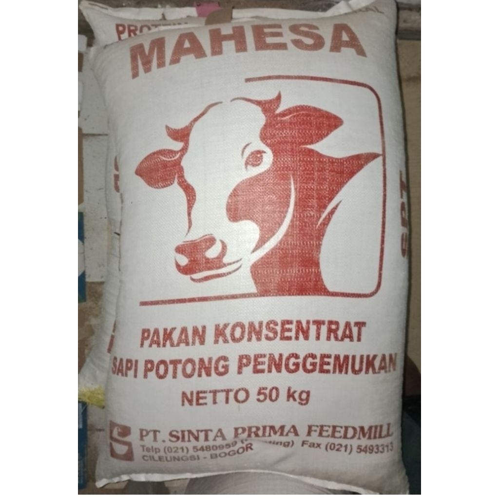 Mahesa pelet sapi pakan sapi kambing penggemukan