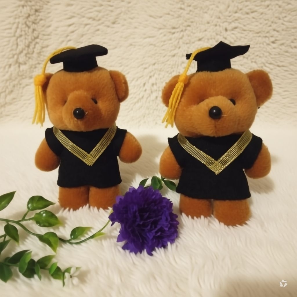 Boneka Wisuda Teddy Bear 13 Cm