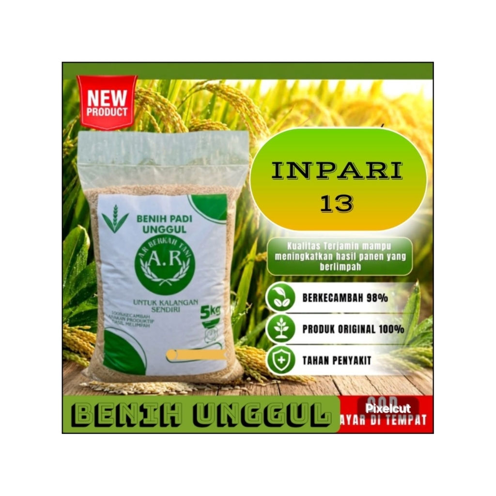 Bibit padi unggul INPARI 13 benih padi berkualitas premium kemasan 5kg