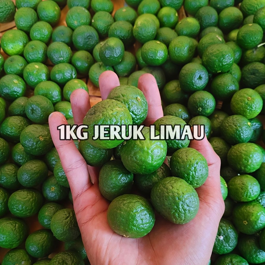 1KG JERUK LIMAU