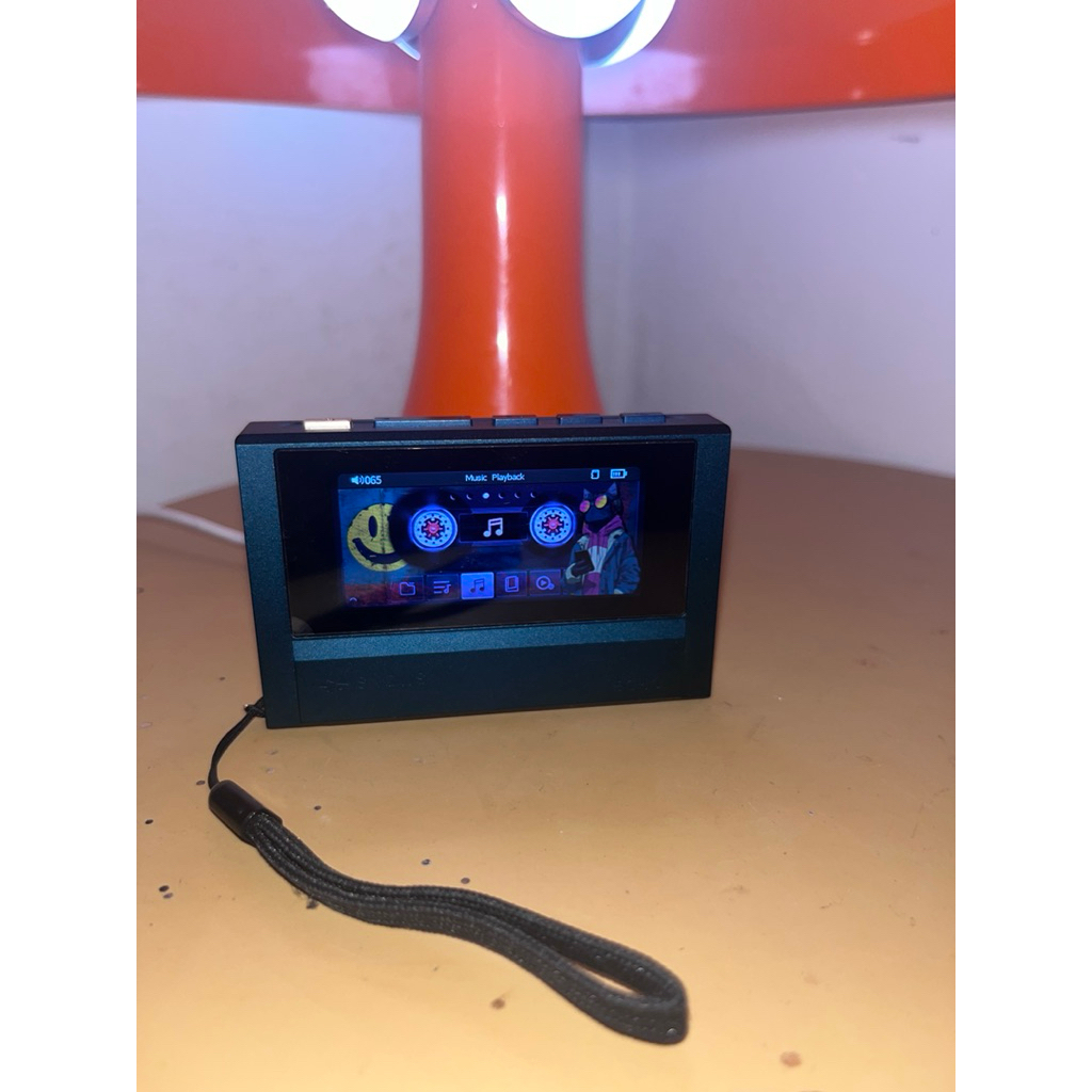 snowsky echo (not mini)+gk kunten 3.5 mic
