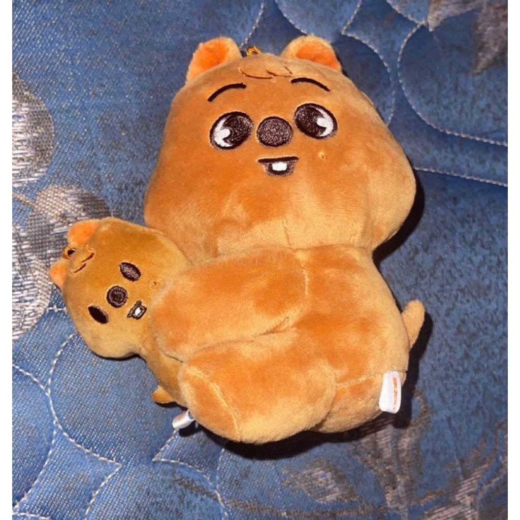Skzoo Han Quokka Magnet plush set