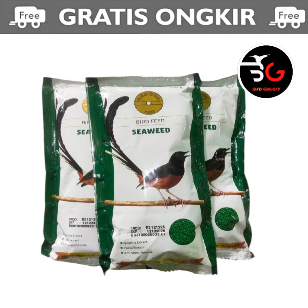 SEAWEED GOLD COIN HIJAU MURAI BATU VOER BURUNG MURAI KACER GOLD COIN SEAWEED