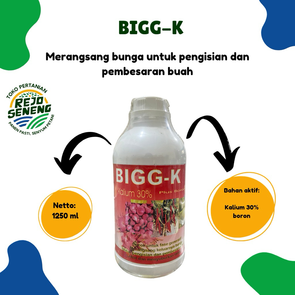 [BOOSTER BUAH] Pupuk Bigg-K Tinggi Kalium - Nutrisi Pembesar Buah & Umbi Maksimal