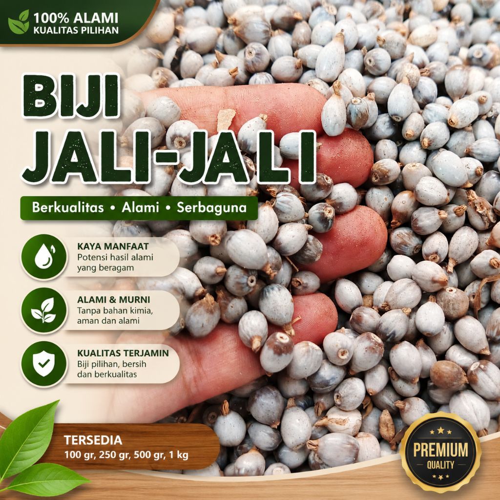 biji jali-jali kering - biji jali - kerajinan buah jali-jali - barley seeds organik