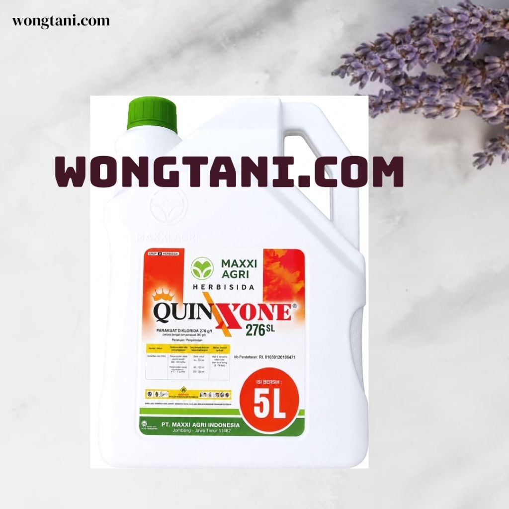 herbisida quinxone 5Liter obat rumput membasmi gulma herbisida kuinson quinson 5liter quinxone